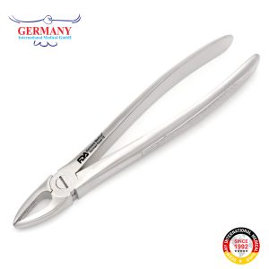 29 Extraction Forcep